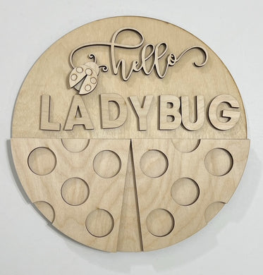 Hello Ladybug Round Doorhanger 10