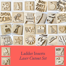 Interchangeable Leaning Ladder & Inserts